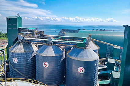 4x10,000T Welded Cement Silo System for San Miguel Corporation