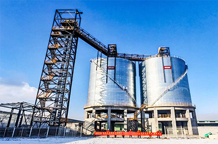 Mongolia 2x7000T Cement Silo Project