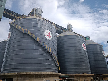 Bulk Storage Silos